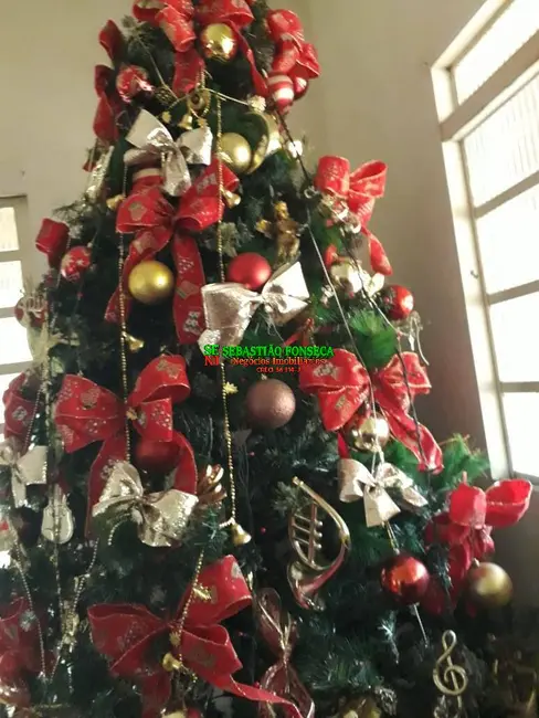 Foto 9 de Chácara com 3 quartos à venda, 5000m2 em Jambeiro - SP