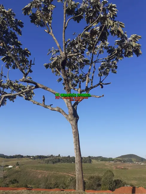 Foto 10 de Chácara à venda, 1000m2 em Jacarei - SP