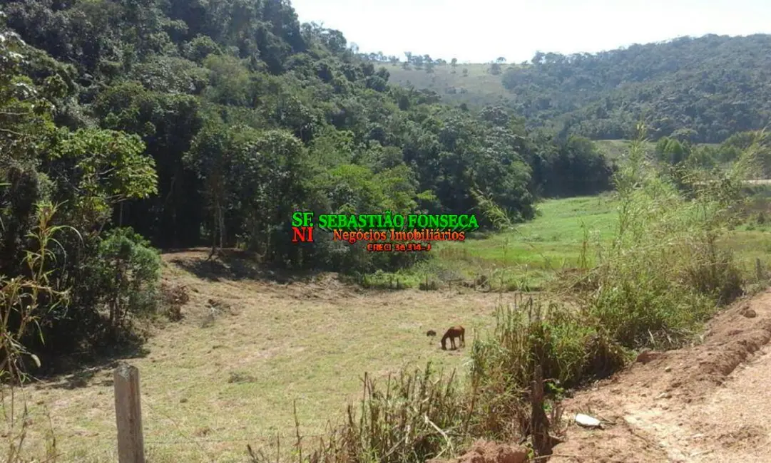 Foto 3 de Chácara à venda, 6000m2 em Natividade Da Serra - SP