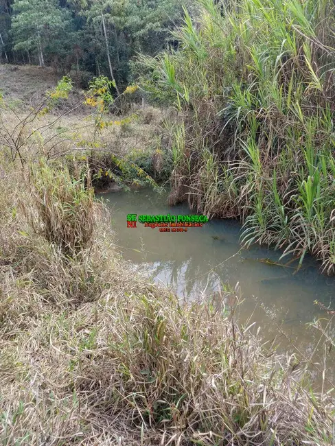 Foto 2 de Chácara à venda, 6000m2 em Natividade Da Serra - SP