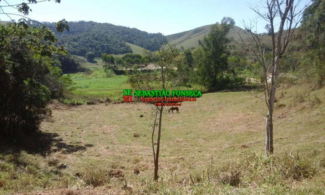 Foto 6 de Chácara à venda, 6000m2 em Natividade Da Serra - SP