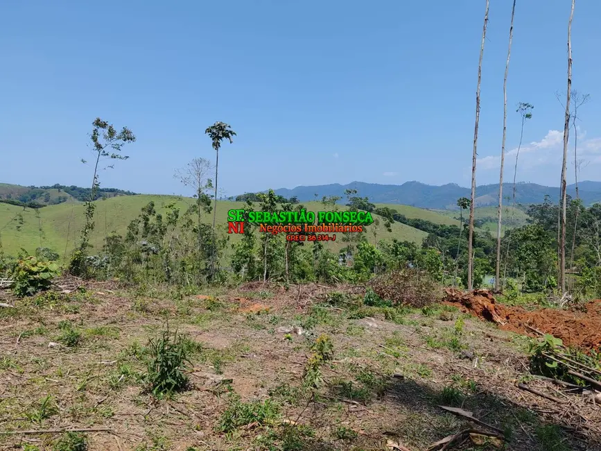 Foto 5 de Sítio / Rancho à venda, 20000m2 em Centro, Monteiro Lobato - SP