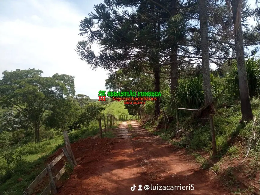 Foto 9 de Sítio / Rancho com 2 quartos à venda em Centro, Lagoinha - SP