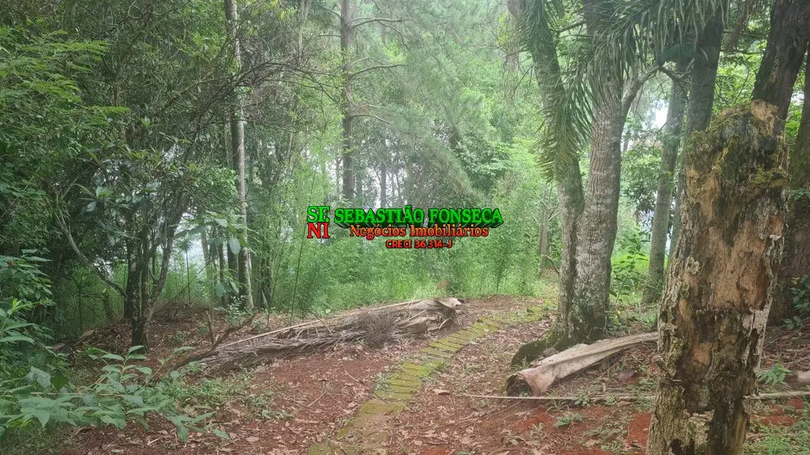 Foto 4 de Chácara com 2 quartos à venda, 3000m2 em Igarata - SP