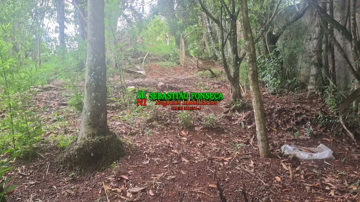 Foto 6 de Chácara com 2 quartos à venda, 3000m2 em Igarata - SP