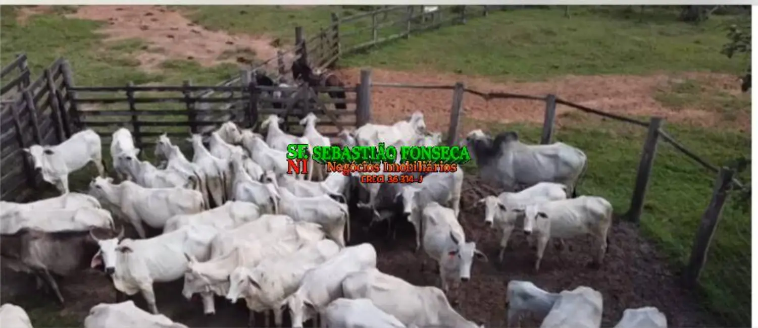 Foto 5 de Fazenda / Haras à venda, 86m2 em Centro, Igarata - SP