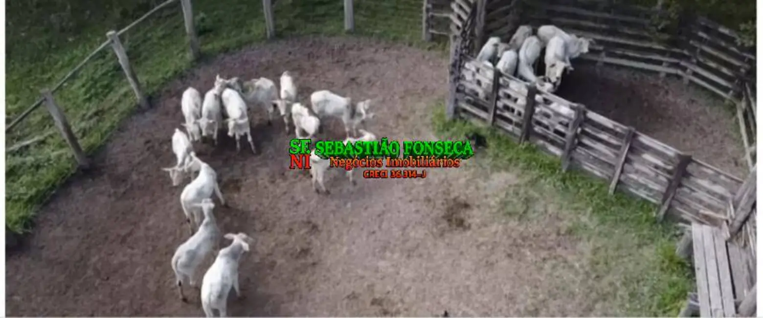 Foto 6 de Fazenda / Haras à venda, 86m2 em Centro, Igarata - SP