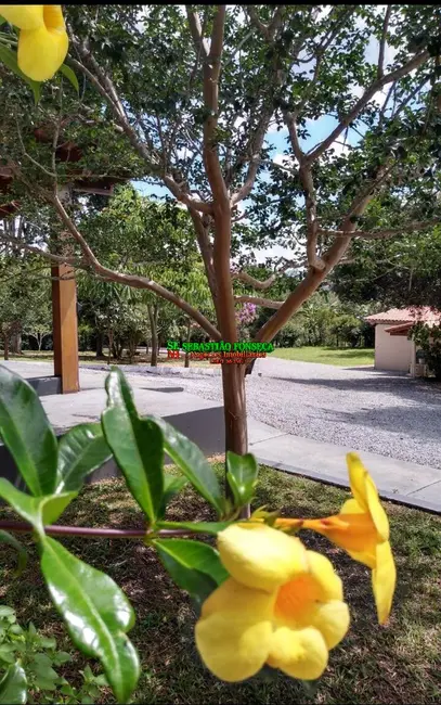 Foto 8 de Chácara com 5 quartos à venda, 6160m2 em Centro, Paraibuna - SP