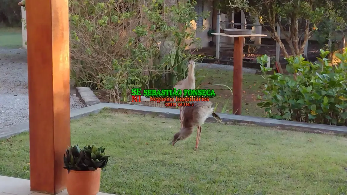 Chácara com 5 quartos à venda, 6160m2 em Centro, Paraibuna - SP - imagem 5 Foto 5 de Chácara com 5 quartos à venda, 6160m2 em Centro, Paraibuna - SP