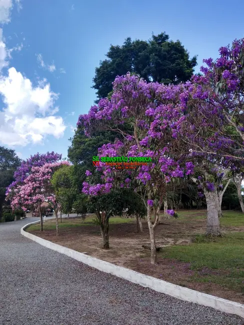 Chácara com 5 quartos à venda, 6160m2 em Centro, Paraibuna - SP - imagem 6 Foto 6 de Chácara com 5 quartos à venda, 6160m2 em Centro, Paraibuna - SP