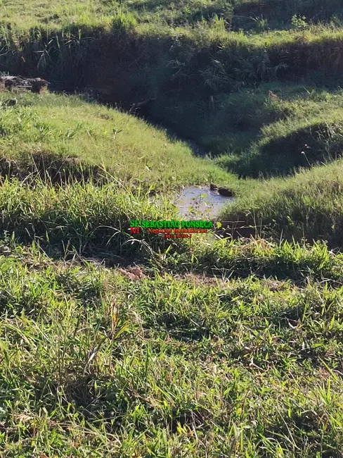 Fazenda / Haras à venda, 217m2 em Área Rural de Lorena, Lorena - SP - imagem 7 Foto 7 de Fazenda / Haras à venda, 217m2 em Área Rural de Lorena, Lorena - SP