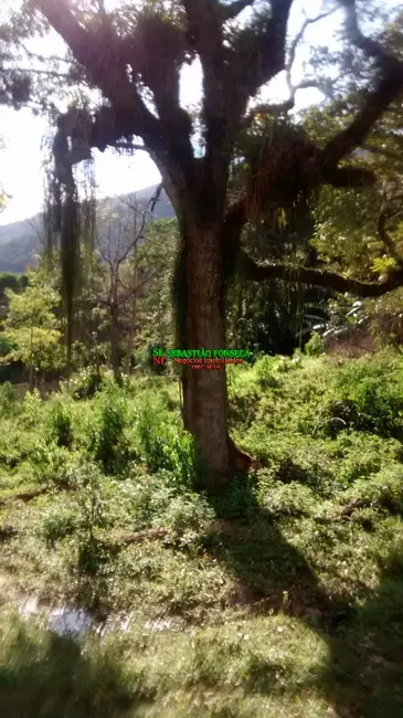 Foto 3 de Fazenda / Haras à venda, 69m2 em Centro, Silveiras - SP