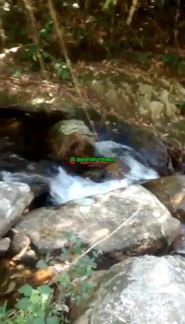 Foto 6 de Fazenda / Haras à venda, 69m2 em Centro, Silveiras - SP