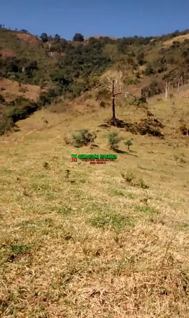 Foto 9 de Fazenda / Haras à venda, 69m2 em Centro, Silveiras - SP