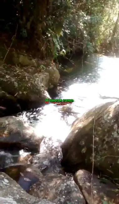 Foto 4 de Fazenda / Haras à venda, 69m2 em Centro, Silveiras - SP