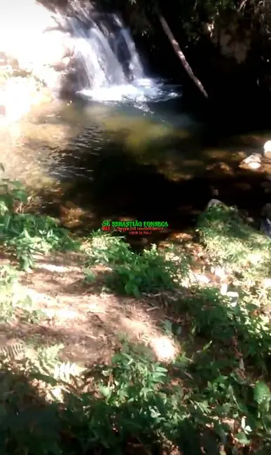 Foto 7 de Fazenda / Haras à venda, 69m2 em Centro, Silveiras - SP