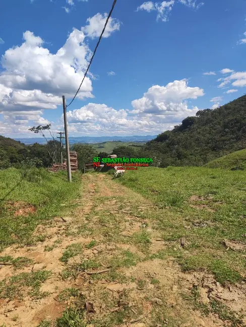 Foto 2 de Fazenda / Haras à venda, 2604391m2 em Centro, Piquete - SP