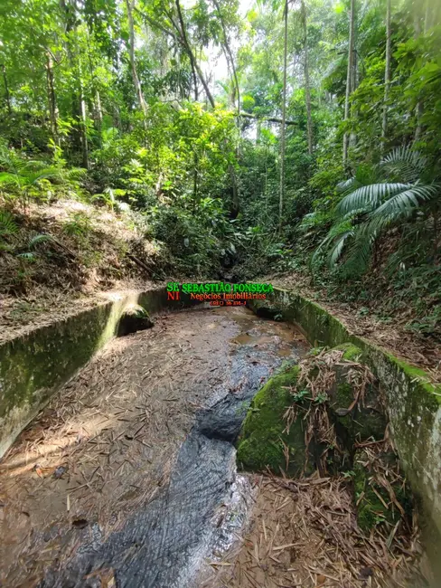 Sítio / Rancho à venda em Área Rural de Pindamonhangaba, Pindamonhangaba - SP - imagem 5 Foto 5 de Sítio / Rancho à venda em Área Rural de Pindamonhangaba, Pindamonhangaba - SP