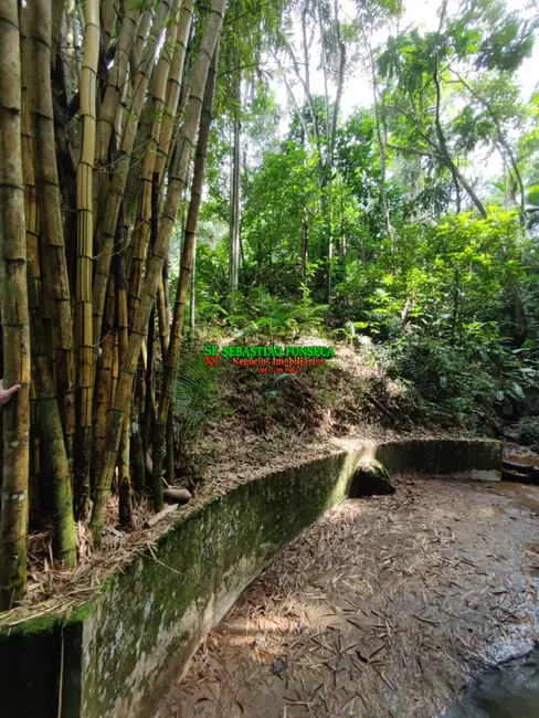 Sítio / Rancho à venda em Área Rural de Pindamonhangaba, Pindamonhangaba - SP - imagem 6 Foto 6 de Sítio / Rancho à venda em Área Rural de Pindamonhangaba, Pindamonhangaba - SP