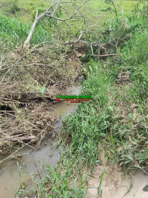 Foto 8 de Sítio / Rancho à venda, 20000m2 em Jambeiro - SP