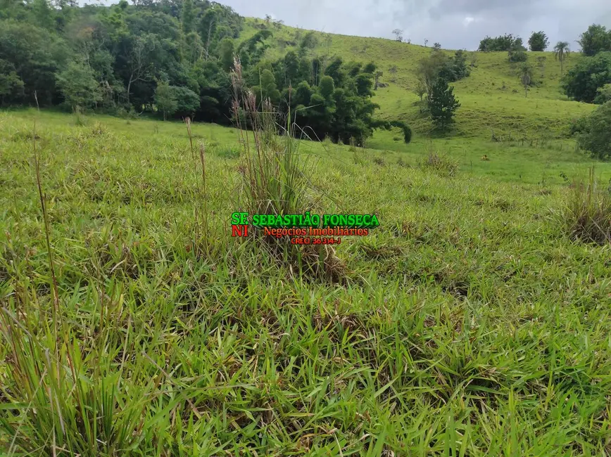 Foto 4 de Sítio / Rancho à venda, 20000m2 em Jambeiro - SP