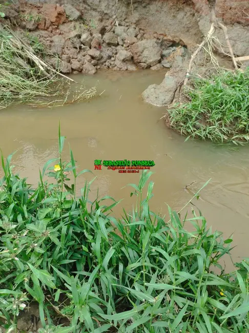 Foto 9 de Sítio / Rancho à venda, 20000m2 em Jambeiro - SP