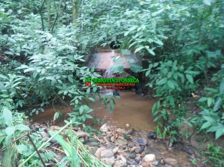 Foto 4 de Chácara à venda, 5000m2 em Centro, Monteiro Lobato - SP
