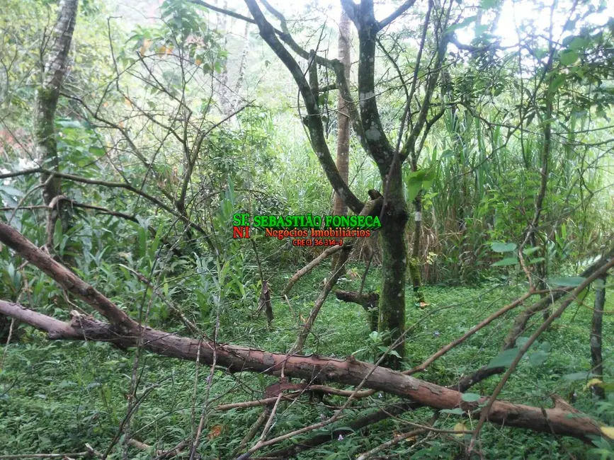 Foto 9 de Chácara à venda, 5000m2 em Centro, Monteiro Lobato - SP