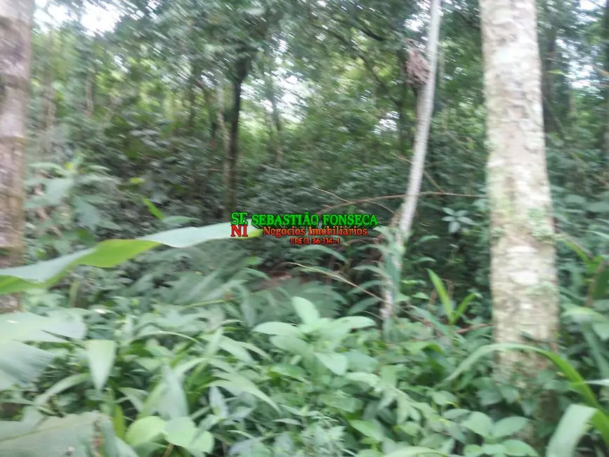 Foto 7 de Chácara à venda, 5000m2 em Centro, Monteiro Lobato - SP