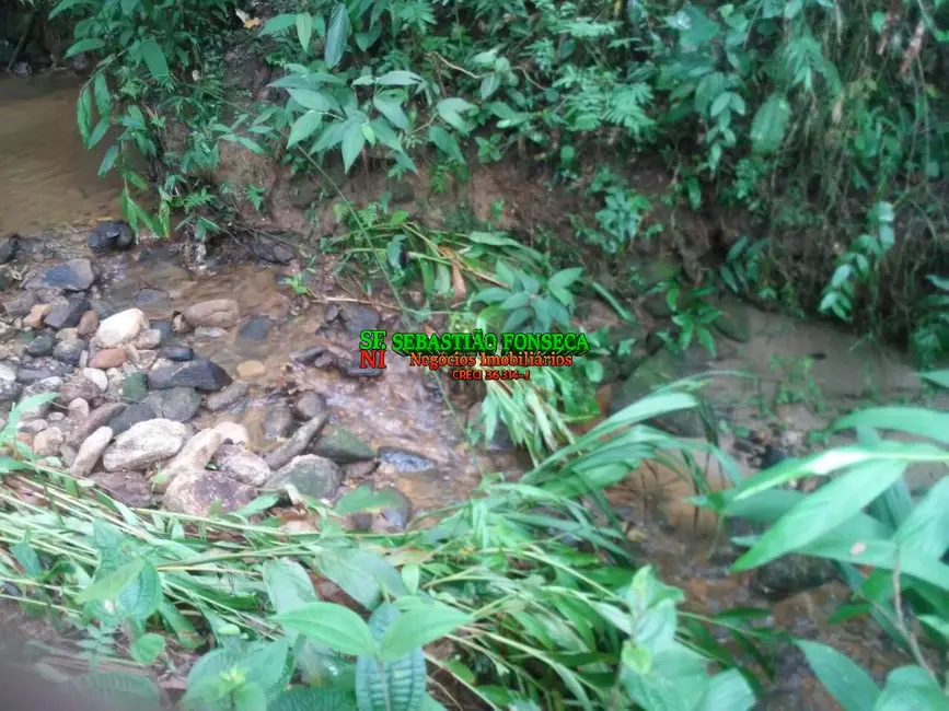 Foto 6 de Chácara à venda, 5000m2 em Centro, Monteiro Lobato - SP