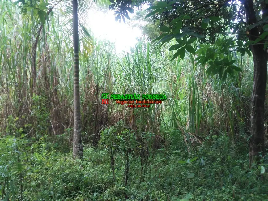 Foto 2 de Chácara à venda, 5000m2 em Centro, Monteiro Lobato - SP