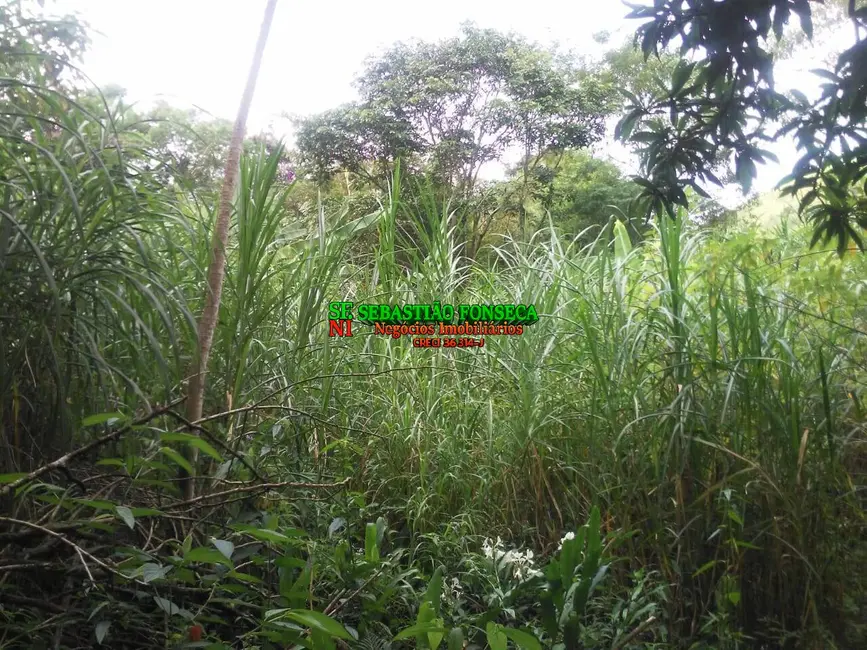 Foto 8 de Chácara à venda, 5000m2 em Centro, Monteiro Lobato - SP