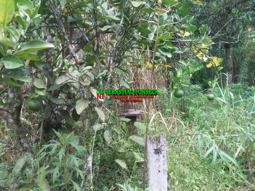 Foto 3 de Chácara à venda, 5000m2 em Centro, Monteiro Lobato - SP