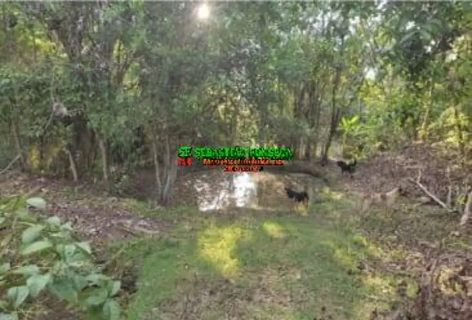 Foto 7 de Sítio / Rancho à venda, 104257m2 em Centro, Guaratingueta - SP