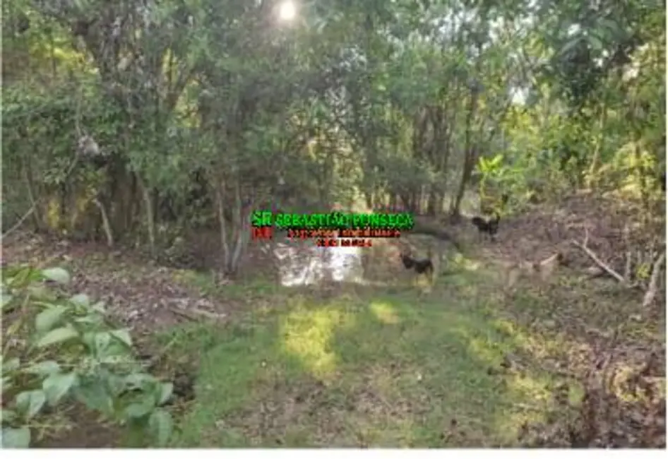 Foto 6 de Sítio / Rancho à venda, 104257m2 em Centro, Guaratingueta - SP