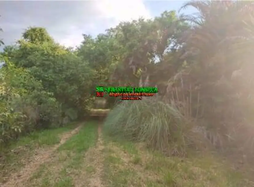 Foto 4 de Sítio / Rancho à venda, 104257m2 em Centro, Guaratingueta - SP