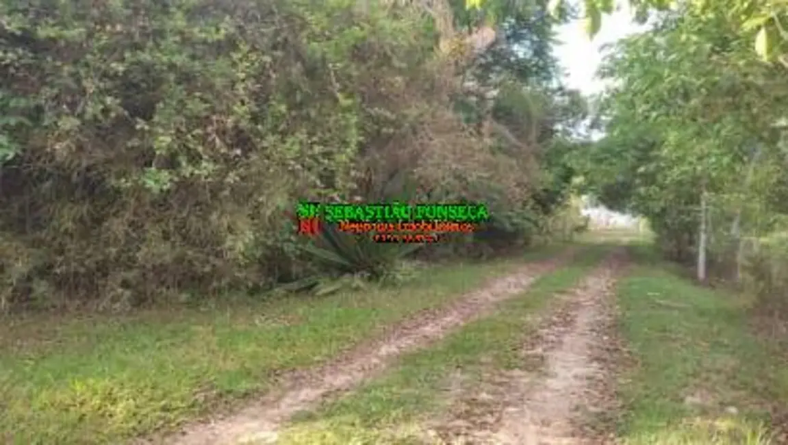 Foto 5 de Sítio / Rancho à venda, 104257m2 em Centro, Guaratingueta - SP