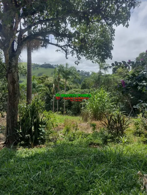 Foto 4 de Sítio / Rancho com 4 quartos à venda, 1300m2 em Área Rural de Guaratinguetá, Guaratingueta - SP