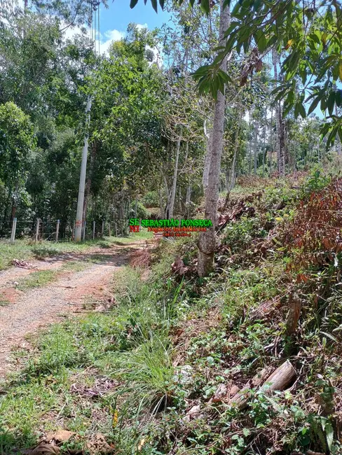 Foto 7 de Sítio / Rancho à venda, 24000m2 em Centro, Monteiro Lobato - SP