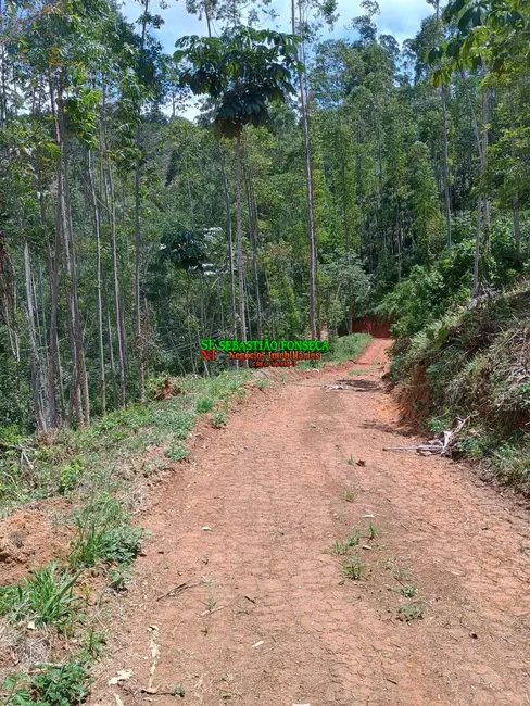 Foto 9 de Sítio / Rancho à venda, 24000m2 em Centro, Monteiro Lobato - SP