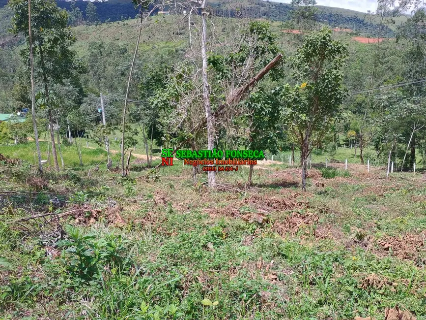 Foto 5 de Sítio / Rancho à venda, 24000m2 em Centro, Monteiro Lobato - SP