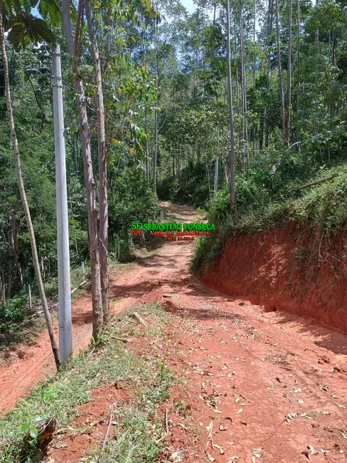 Foto 3 de Sítio / Rancho à venda, 24000m2 em Centro, Monteiro Lobato - SP