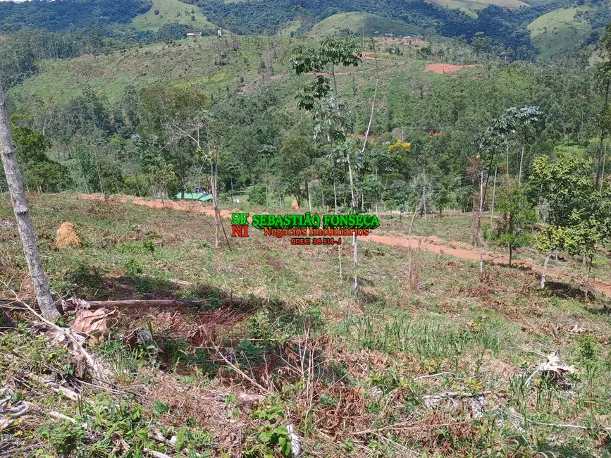 Foto 2 de Sítio / Rancho à venda, 24000m2 em Centro, Monteiro Lobato - SP