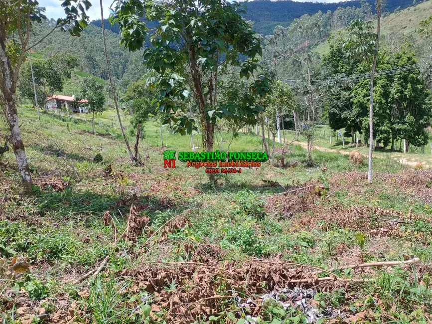 Foto 6 de Sítio / Rancho à venda, 24000m2 em Centro, Monteiro Lobato - SP