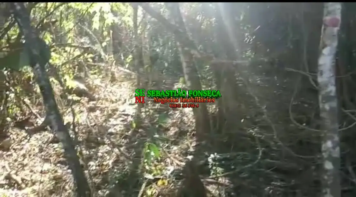 Foto 6 de Sítio / Rancho à venda, 30200m2 em Monteiro Lobato - SP