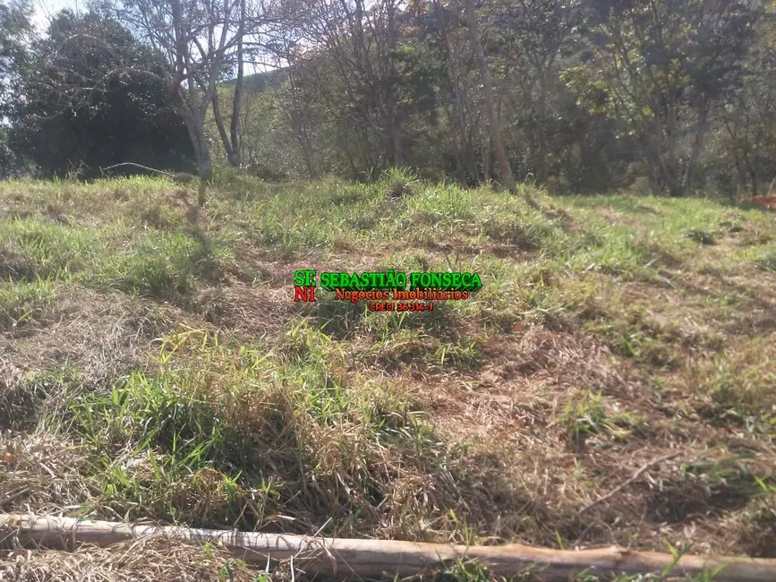 Foto 6 de Chácara à venda, 1000m2 em Centro, Santo Antonio Do Pinhal - SP