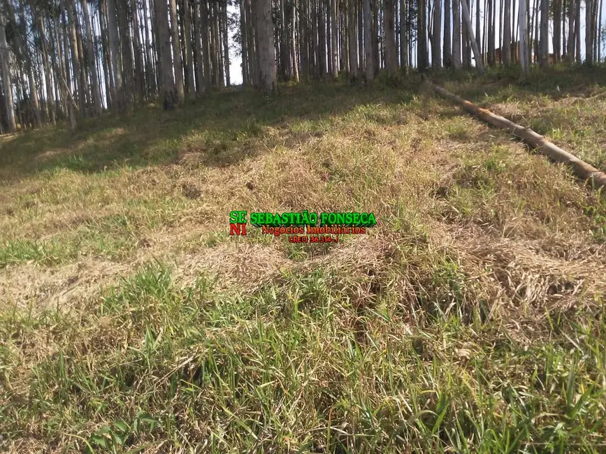 Foto 9 de Chácara à venda, 1000m2 em Centro, Santo Antonio Do Pinhal - SP