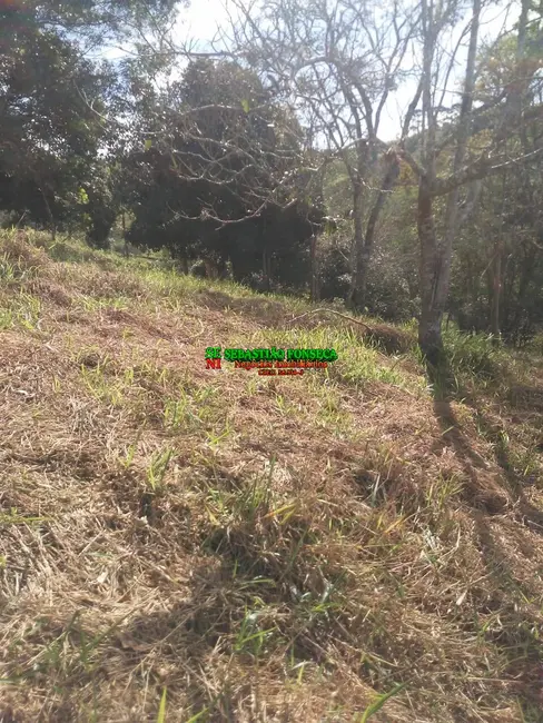 Foto 8 de Chácara à venda, 1000m2 em Centro, Santo Antonio Do Pinhal - SP