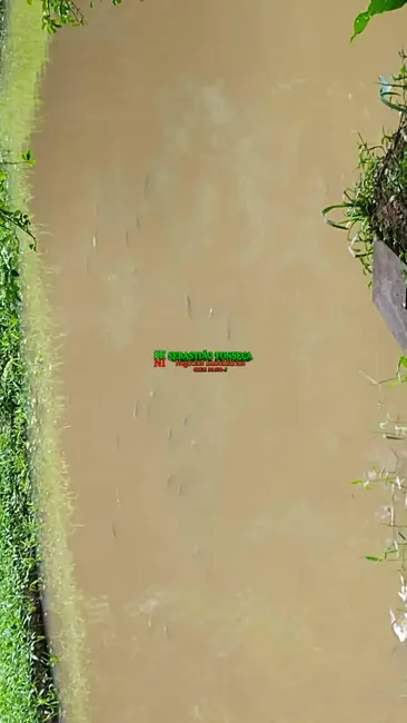 Chácara com 2 quartos à venda e para alugar, 9100m2 em Sao Jose Dos Campos - SP - imagem 4 Foto 4 de Chácara com 2 quartos à venda e para alugar, 9100m2 em Sao Jose Dos Campos - SP