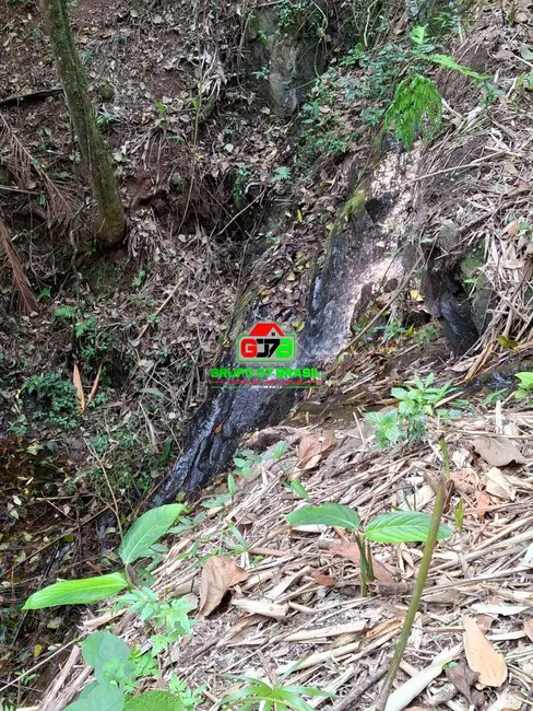 Foto 5 de Sítio / Rancho à venda, 20000m2 em Centro, Monteiro Lobato - SP